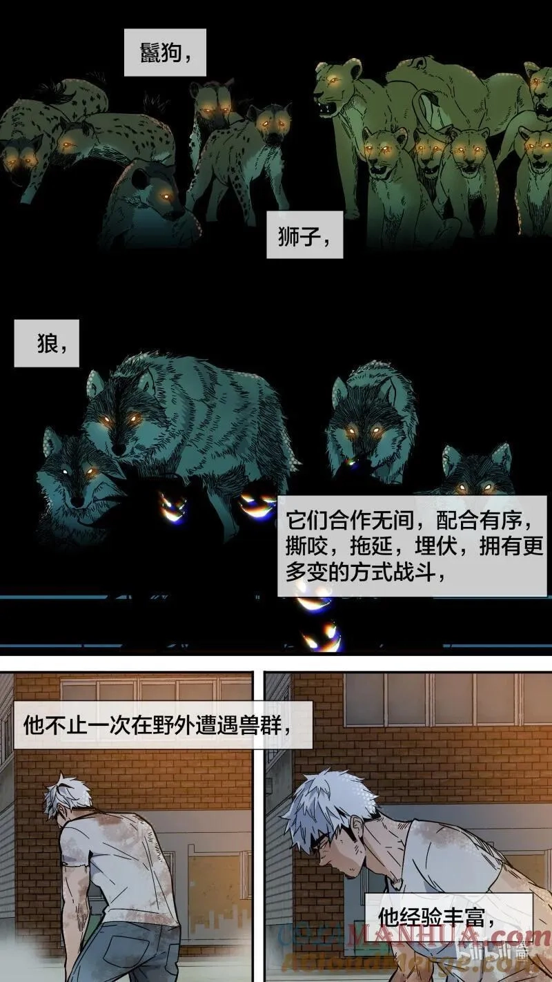 乌鸦,278 【止战之殇】006,第3张