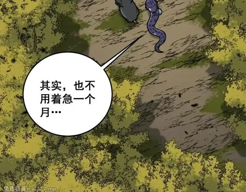 老蛇修仙传,第16回 修为太快有隐患,第115张