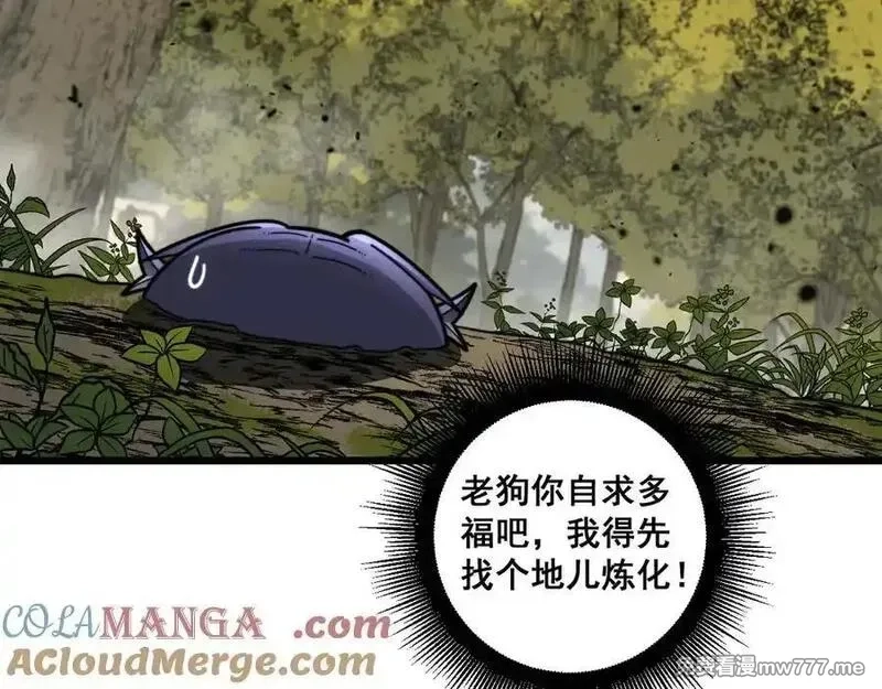 老蛇修仙传,第16回 修为太快有隐患,第37张