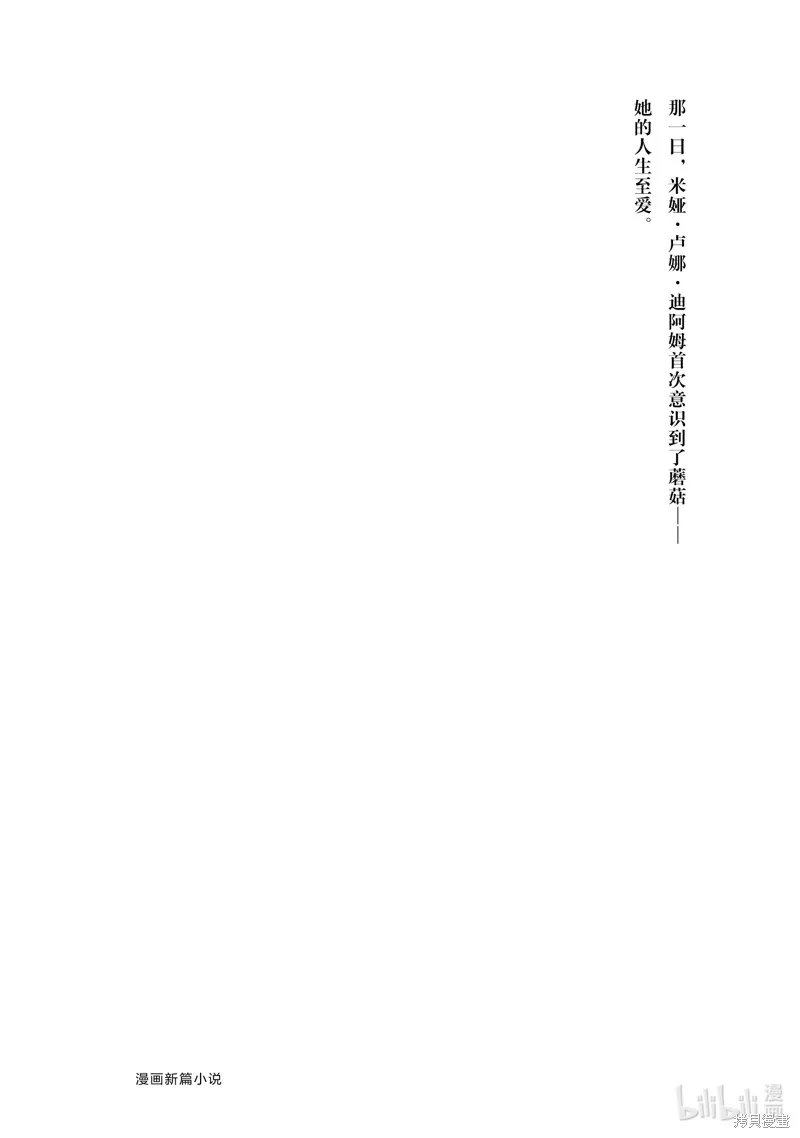 迪阿姆帝國物語 ～從斷頭臺開始的、公主的轉生逆轉傳～,番外篇9,第17张