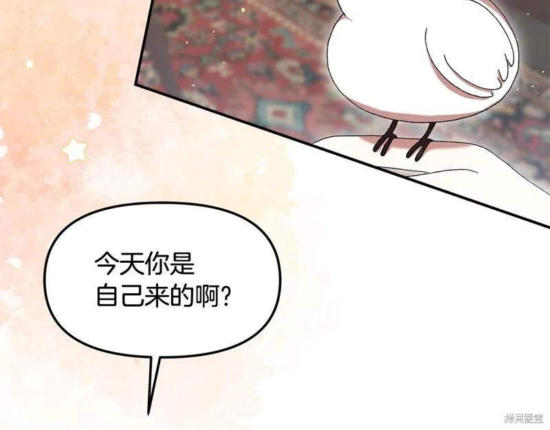 不小心勾引了男主的弟弟,第44话,第69张