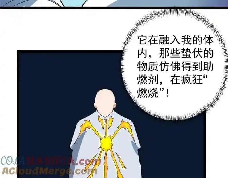 我有999种异能,242 圣灵皇s冠,第67张