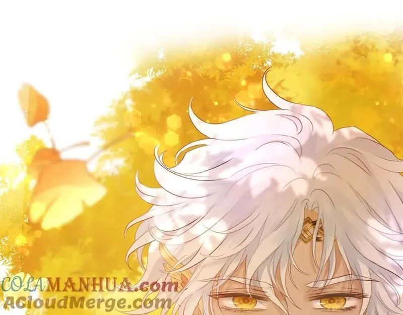 狄奥多之歌,第179话 我们的秘密婚礼,第101张