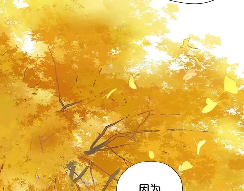 狄奥多之歌,第179话 我们的秘密婚礼,第12张
