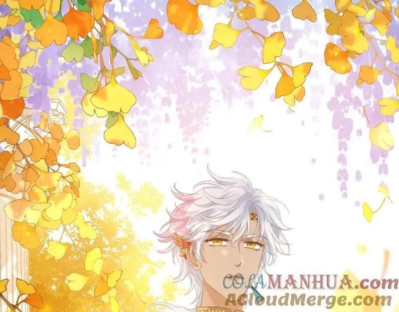 狄奥多之歌,第179话 我们的秘密婚礼,第57张