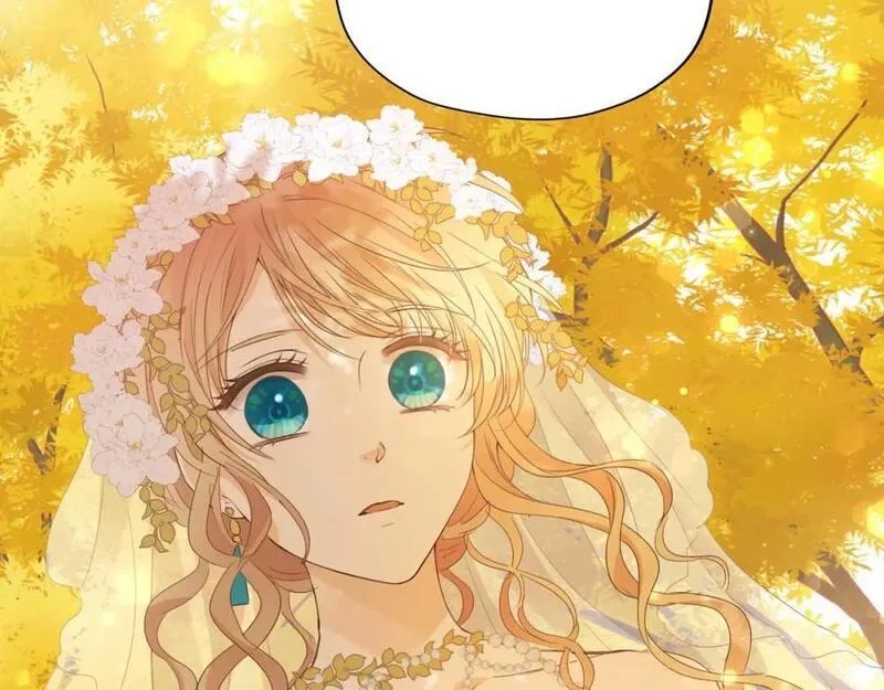 狄奥多之歌,第179话 我们的秘密婚礼,第82张