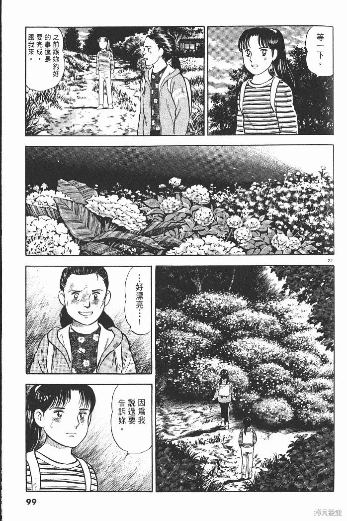光之島,第04卷,第101张