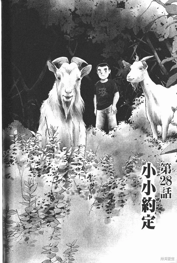 光之島,第04卷,第80张