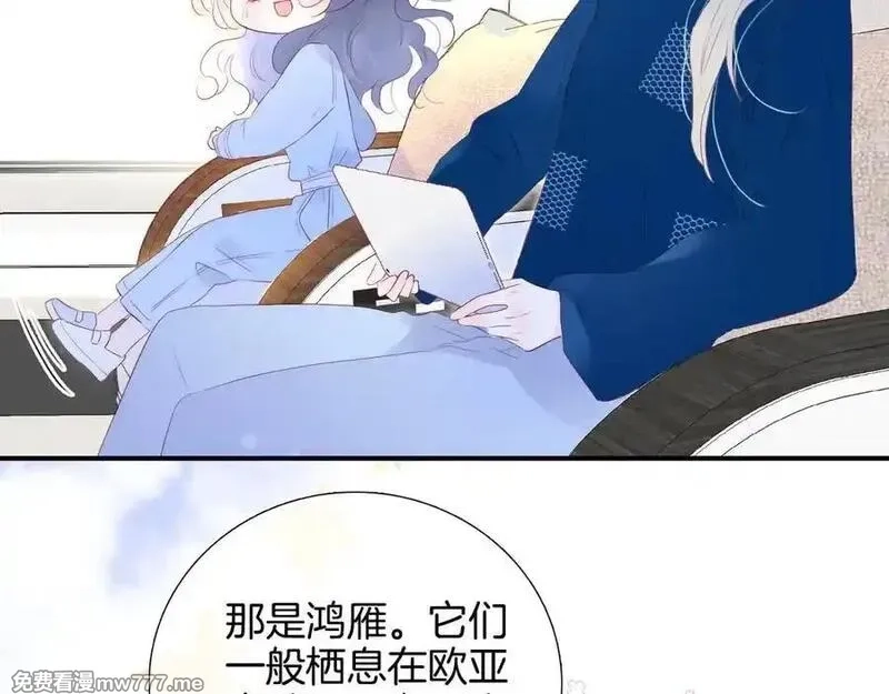 花和刺猬逃跑了,第66话 出发,第17张
