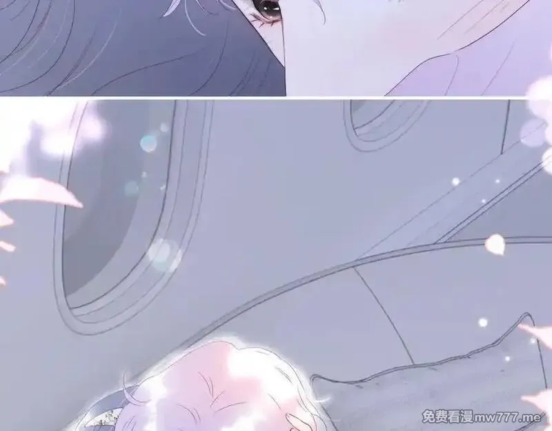 花和刺猬逃跑了,第85话 日出,第39张