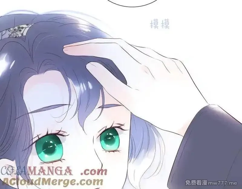花和刺猬逃跑了,第84话 说出来,第105张
