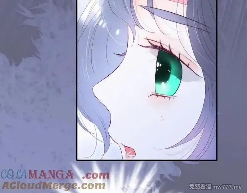 花和刺猬逃跑了,第97话 保护期,第49张