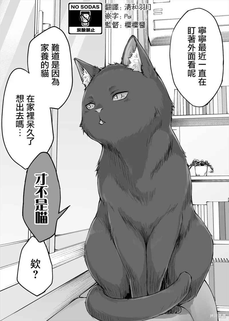 饲养了一只占有欲超强的病娇猫,第11话,第1张
