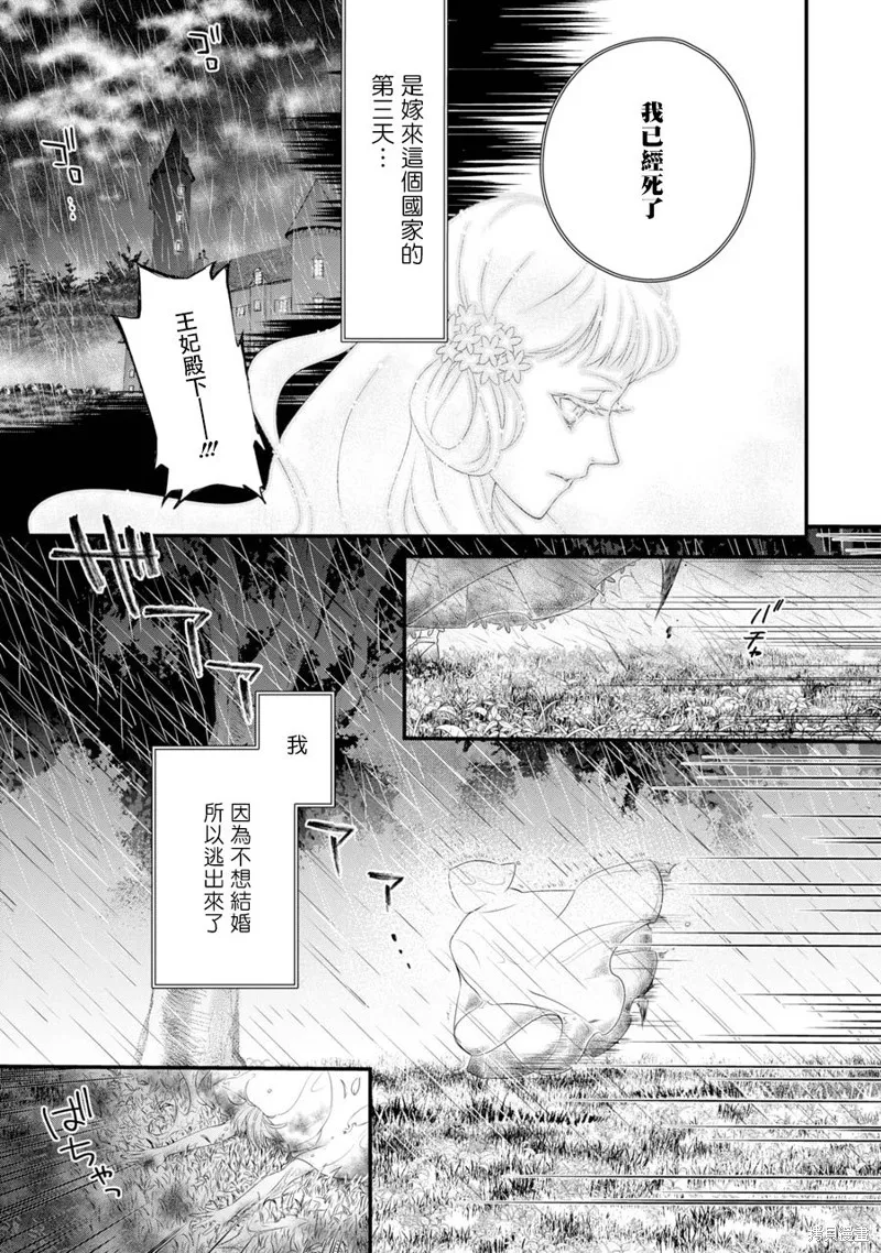 轉生成了15歲的王妃～原本是社畜的我、被年下的國王陛下逼迫了！？~,第02话,第11张