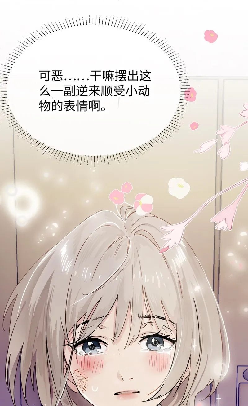 病娇妹妹只想让我欺负她,003 只属于我的猎物,第31张