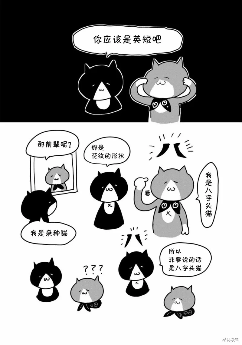 一個人去死,04卷后记,第3张