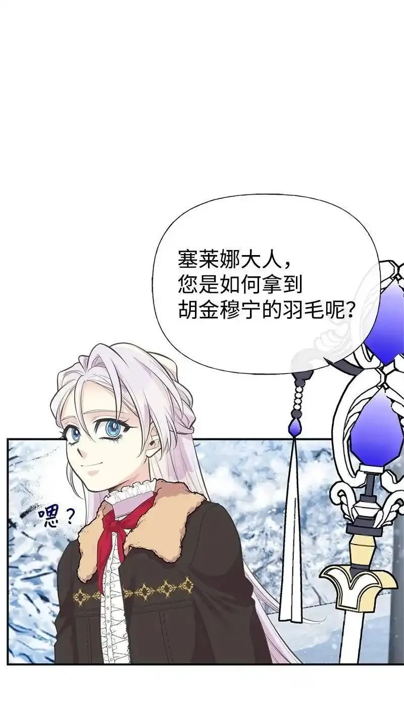 姐姐捡回了男主,79 进入白色山脉,第12张