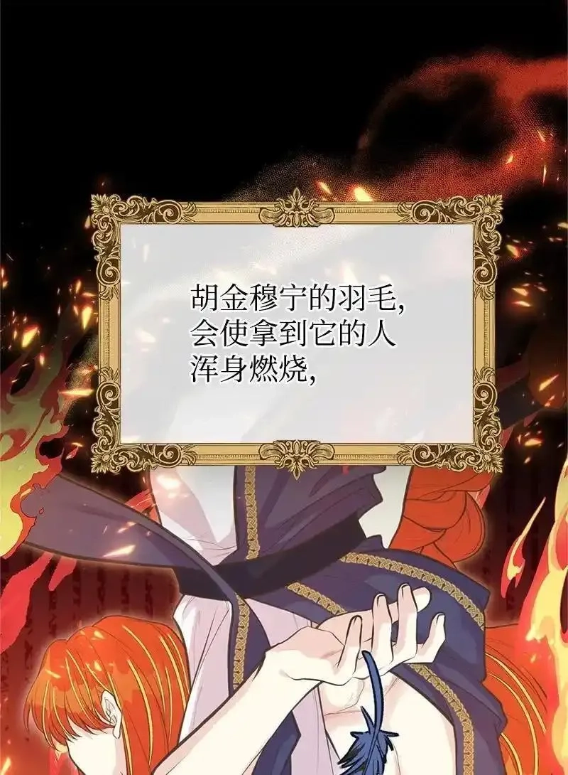 姐姐捡回了男主,79 进入白色山脉,第14张