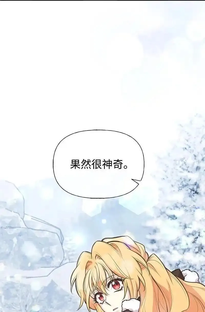 姐姐捡回了男主,79 进入白色山脉,第29张