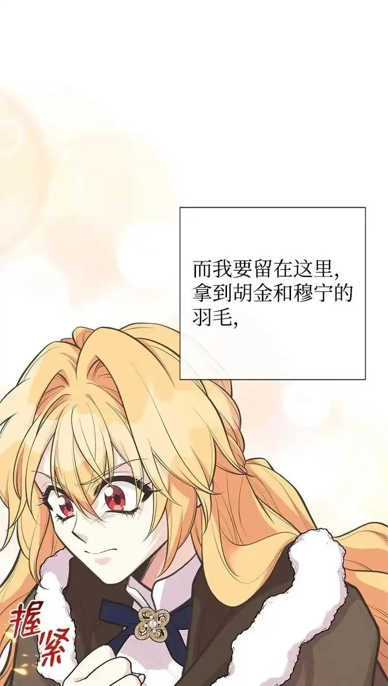 姐姐捡回了男主,79 进入白色山脉,第6张