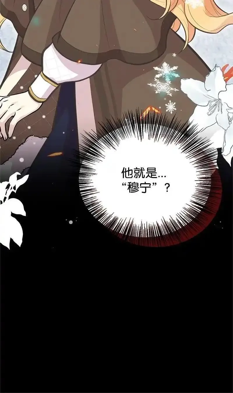 姐姐捡回了男主,79 进入白色山脉,第63张