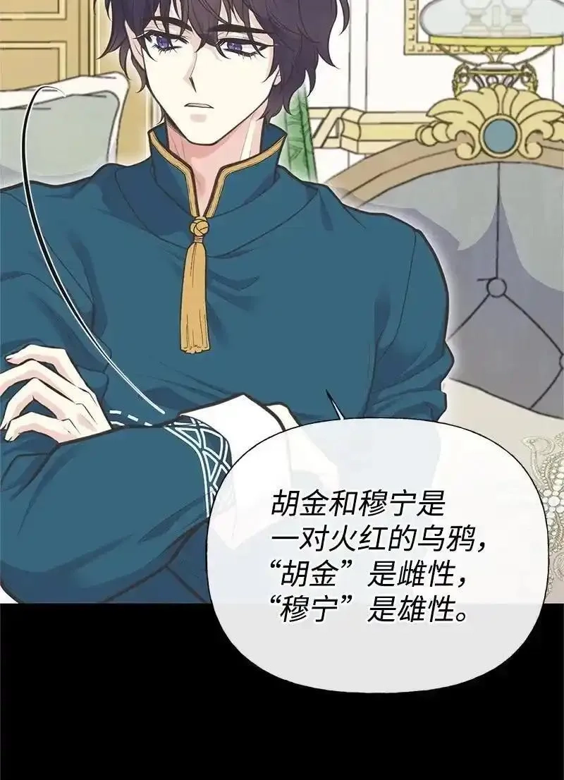 姐姐捡回了男主,79 进入白色山脉,第65张