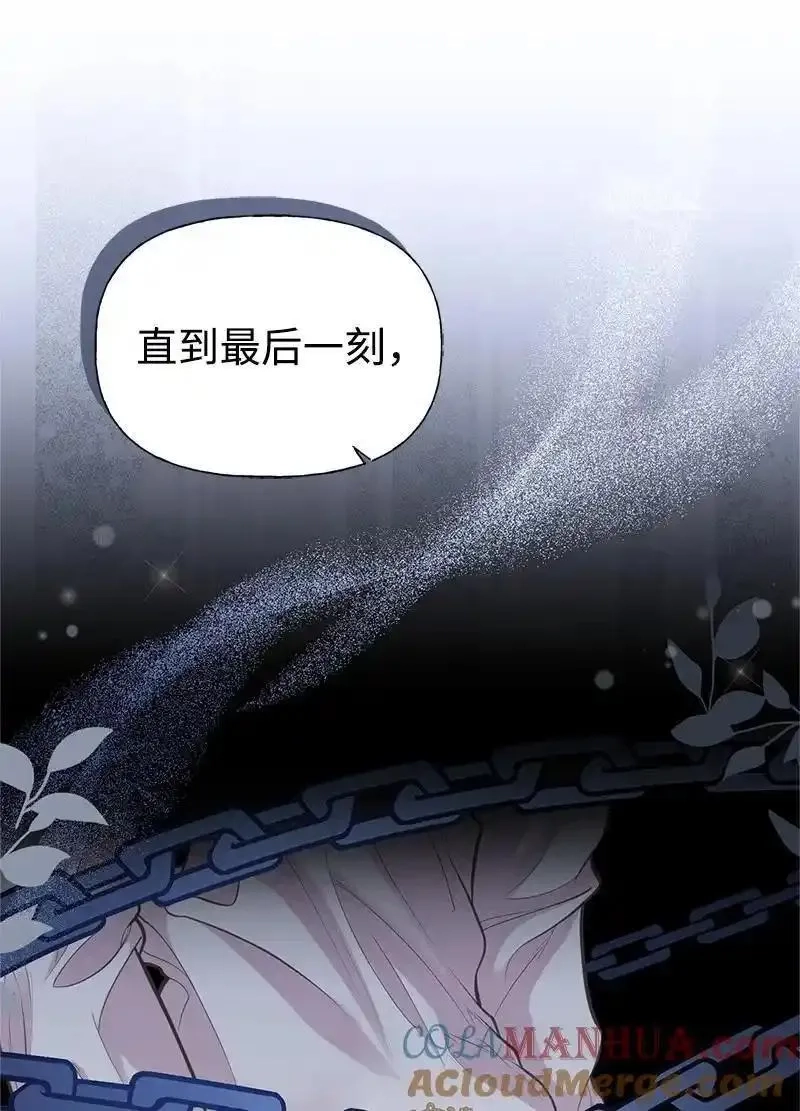 姐姐捡回了男主,76 塞莱娜,第43张