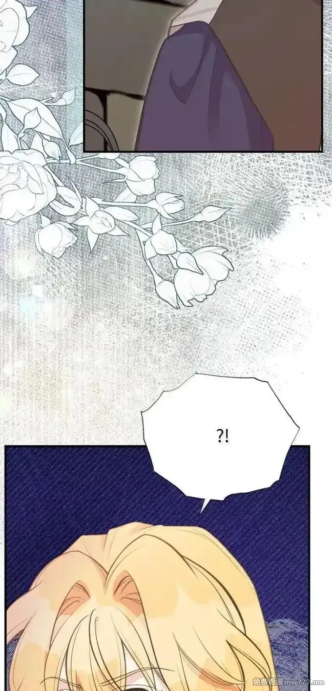 姐姐捡回了男主,100 无情的老师,第71张