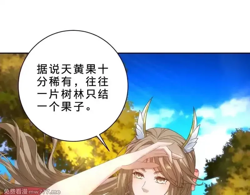 神魂武帝,第408话 天黄树林,第12张