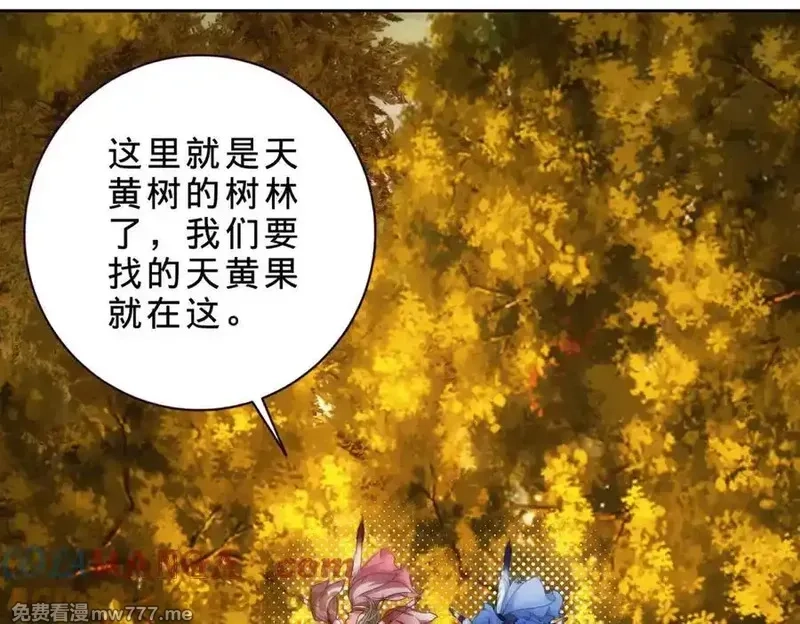 神魂武帝,第408话 天黄树林,第7张