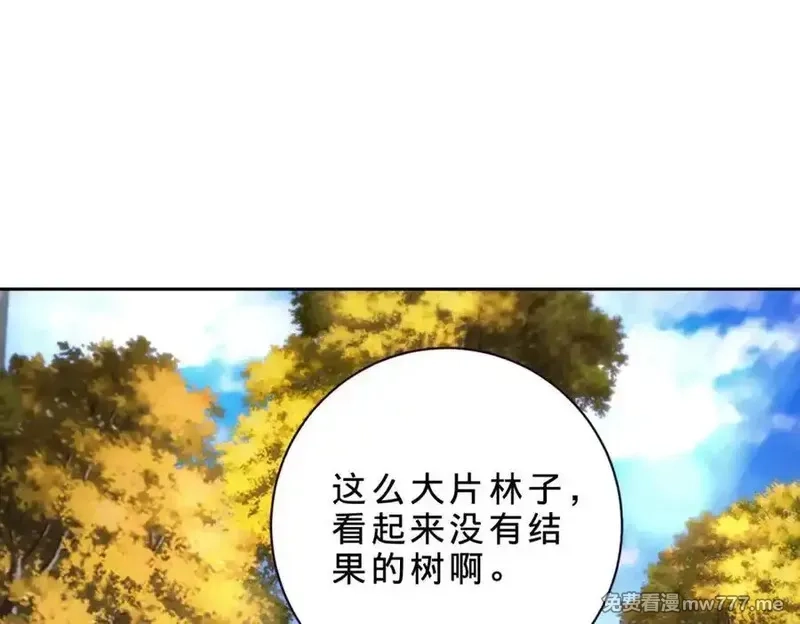神魂武帝,第408话 天黄树林,第9张