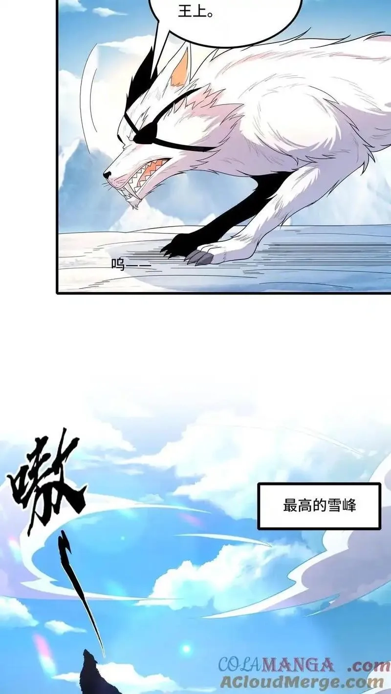 穿越恶龙，开局国王献祭公主,第206话 冰原熊王的野望,第19张