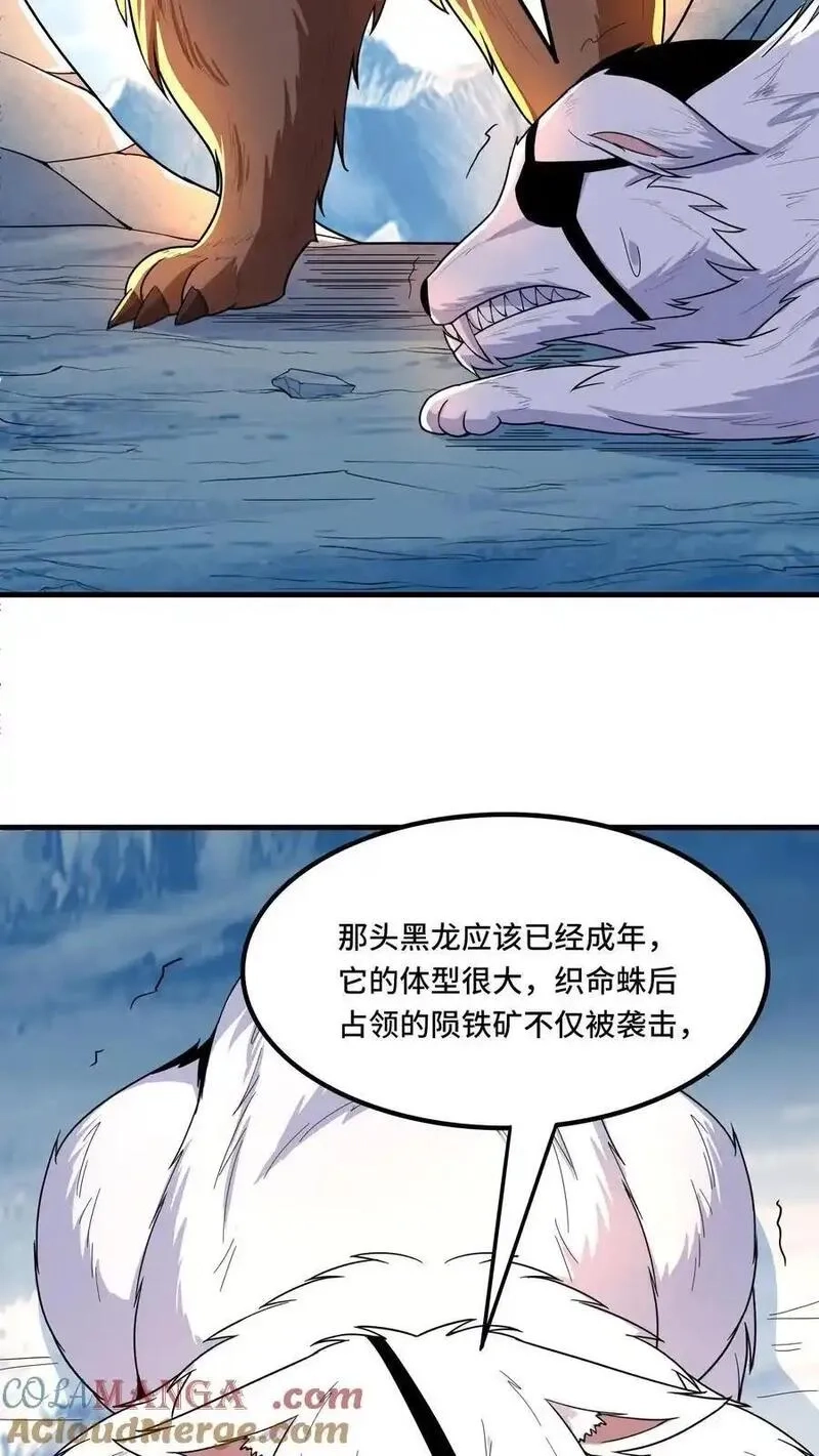 穿越恶龙，开局国王献祭公主,第206话 冰原熊王的野望,第7张