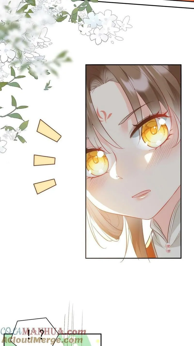 小师妹明明超强却过分沙雕,第2话 只有我受伤的世界,第37张