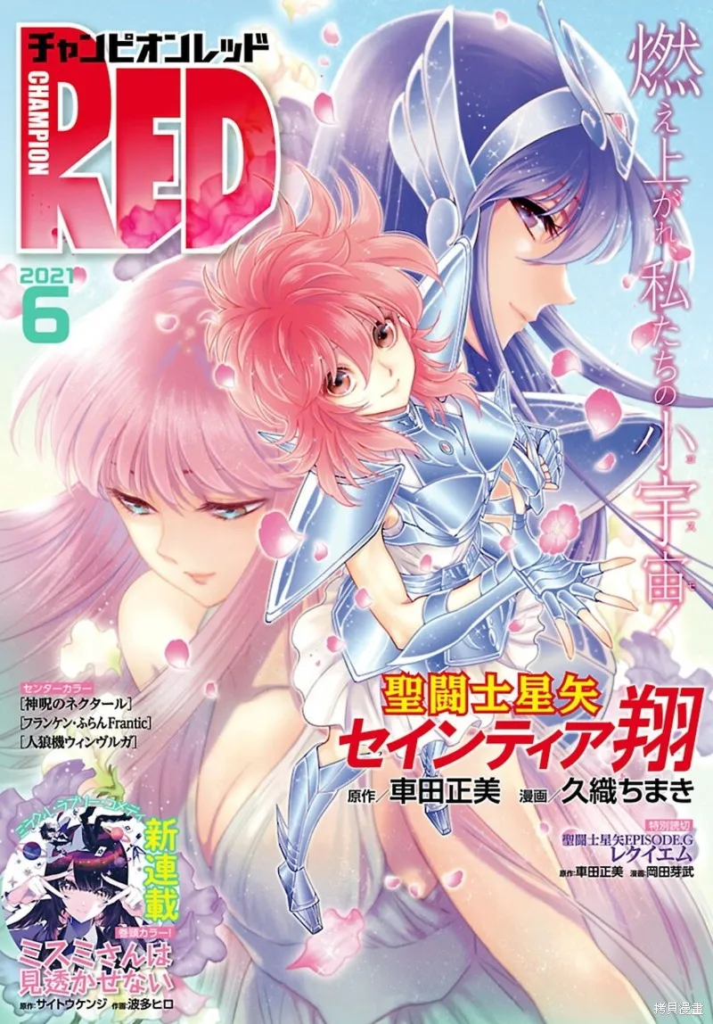 聖鬥士星矢Episode.G Requiem(安魂曲),特别篇2[RED-2021年6月号],第1张