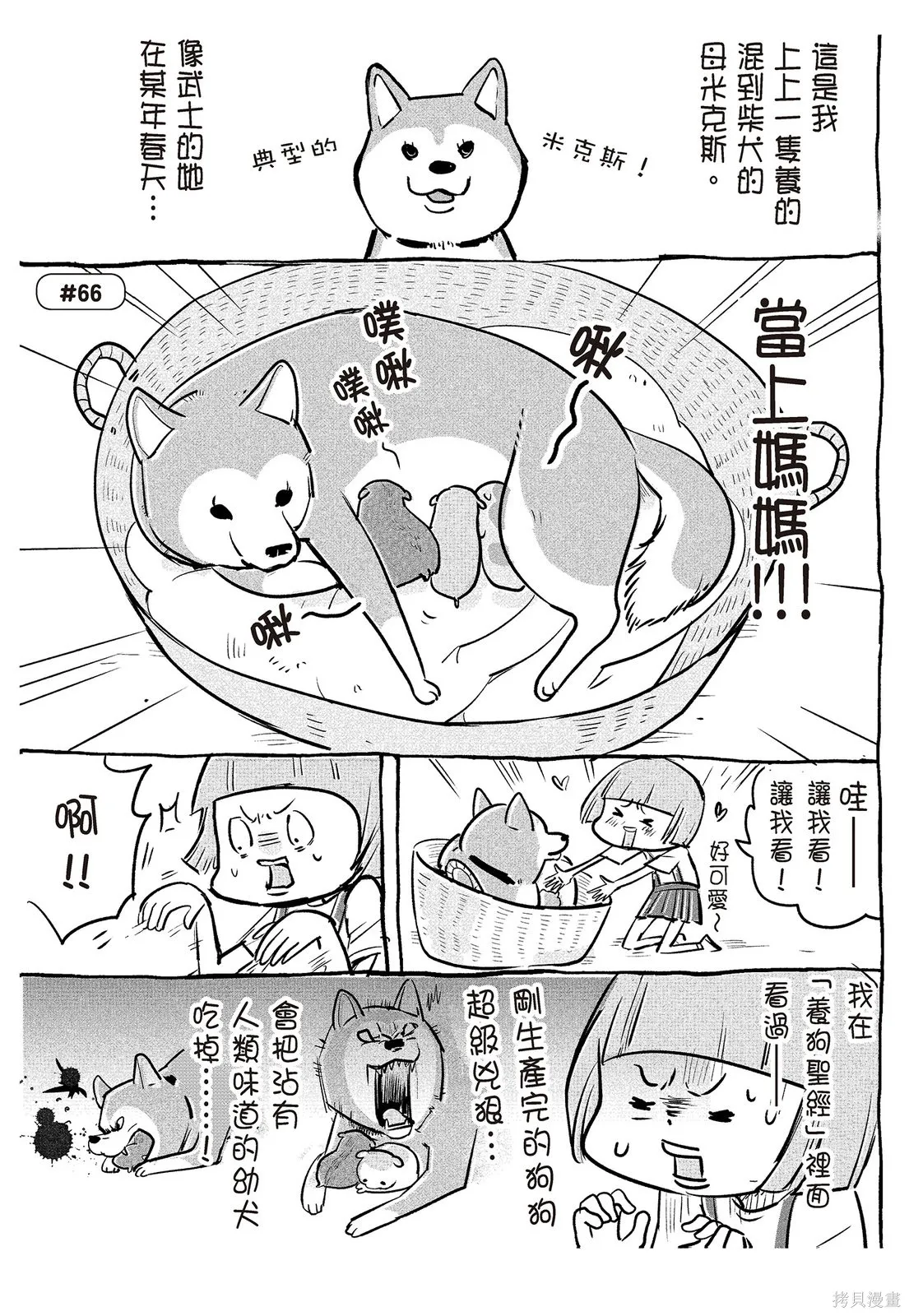 貓狗的爆笑同居生活,第02卷,第107张