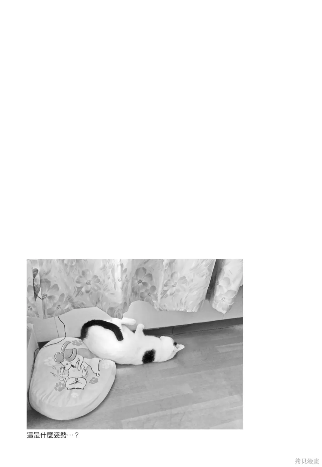 貓狗的爆笑同居生活,第06卷,第91张