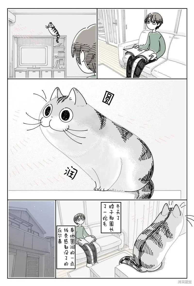 關於養貓我一直是新手,第246话,第2张
