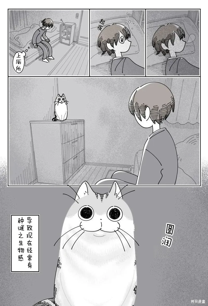 關於養貓我一直是新手,第246话,第3张