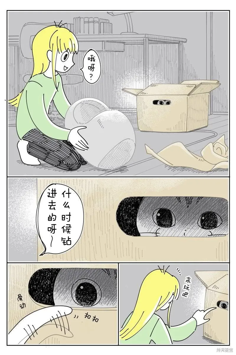 關於養貓我一直是新手,第242话,第1张