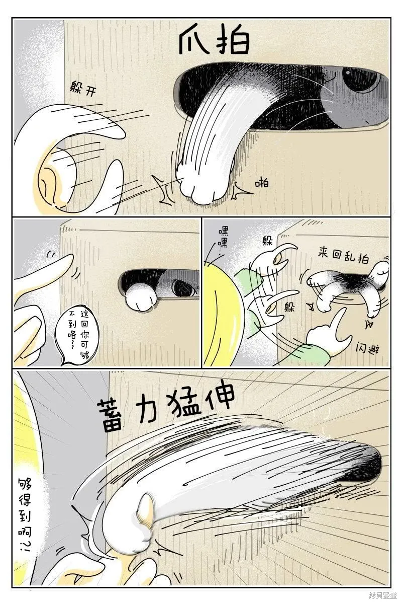 關於養貓我一直是新手,第242话,第2张