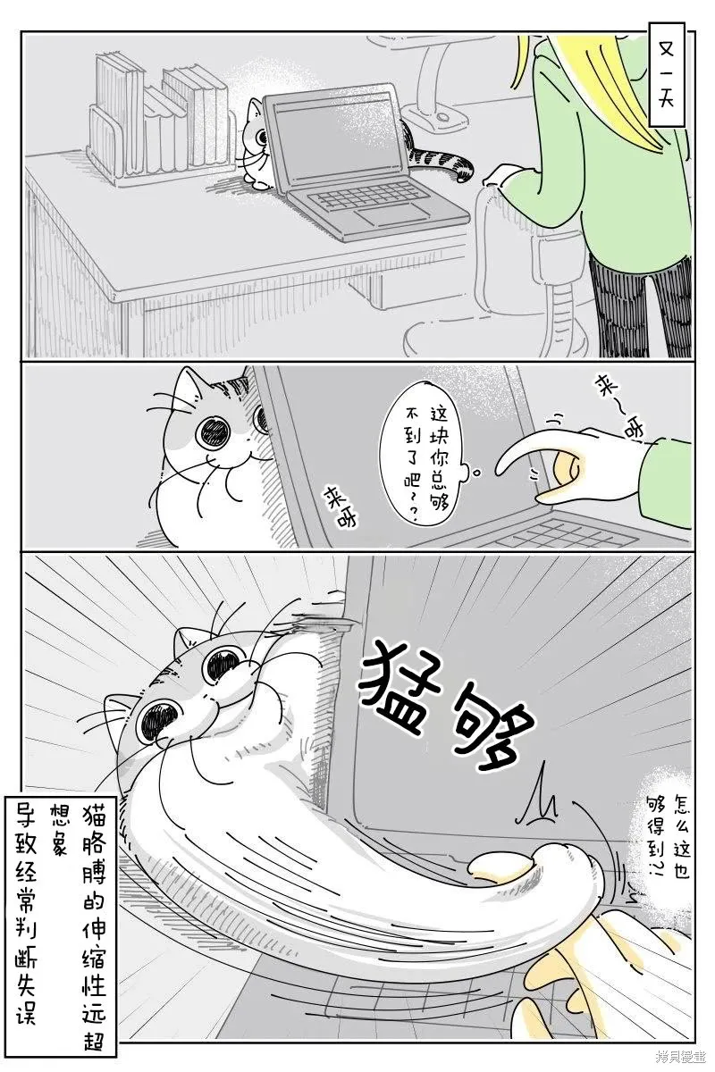 關於養貓我一直是新手,第242话,第3张