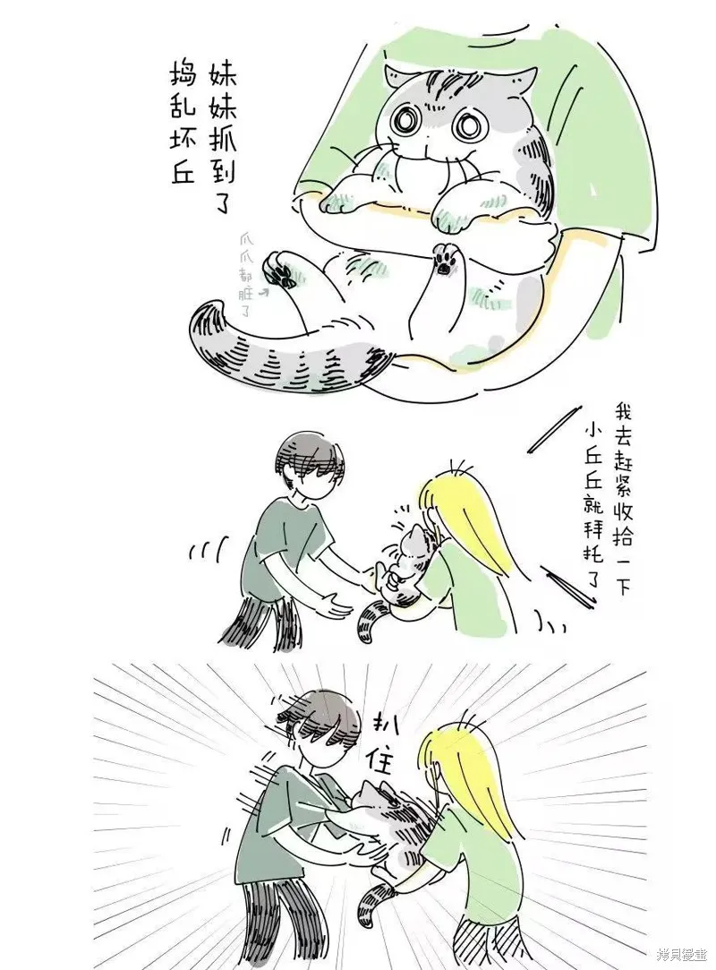 關於養貓我一直是新手,6月挂历彩蛋,第1张
