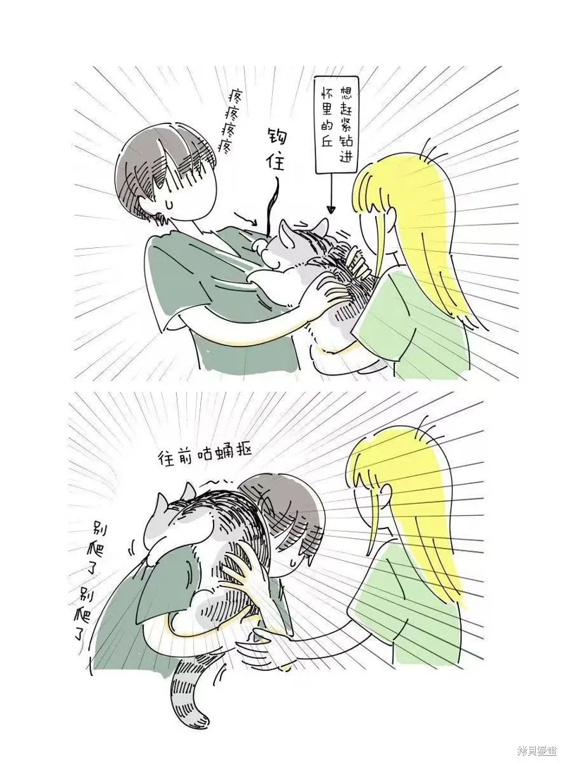 關於養貓我一直是新手,6月挂历彩蛋,第2张