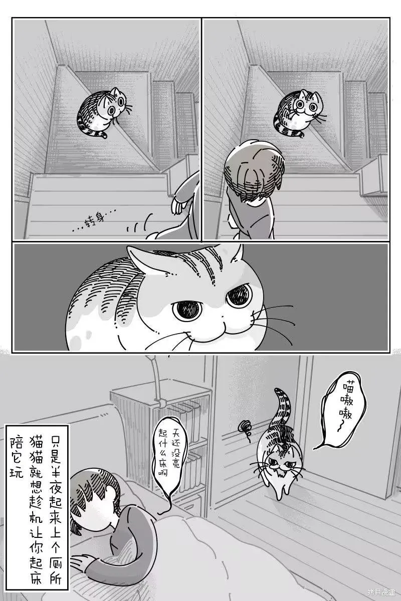 關於養貓我一直是新手,第270话,第3张