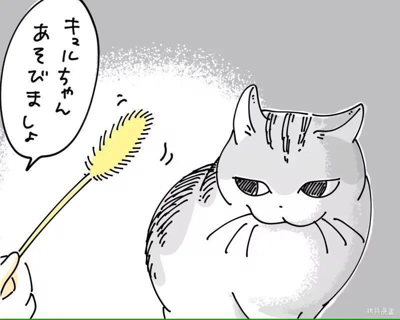 關於養貓我一直是新手,第272话,第2张