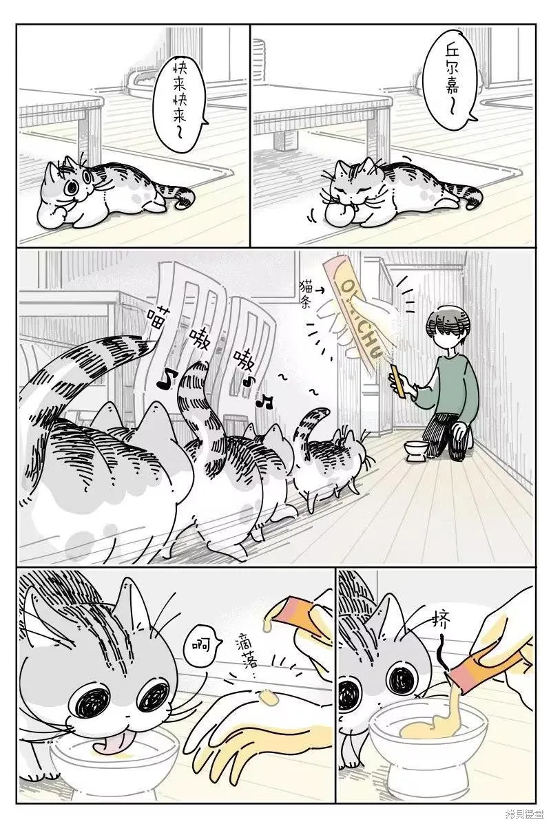 關於養貓我一直是新手,第271话,第1张