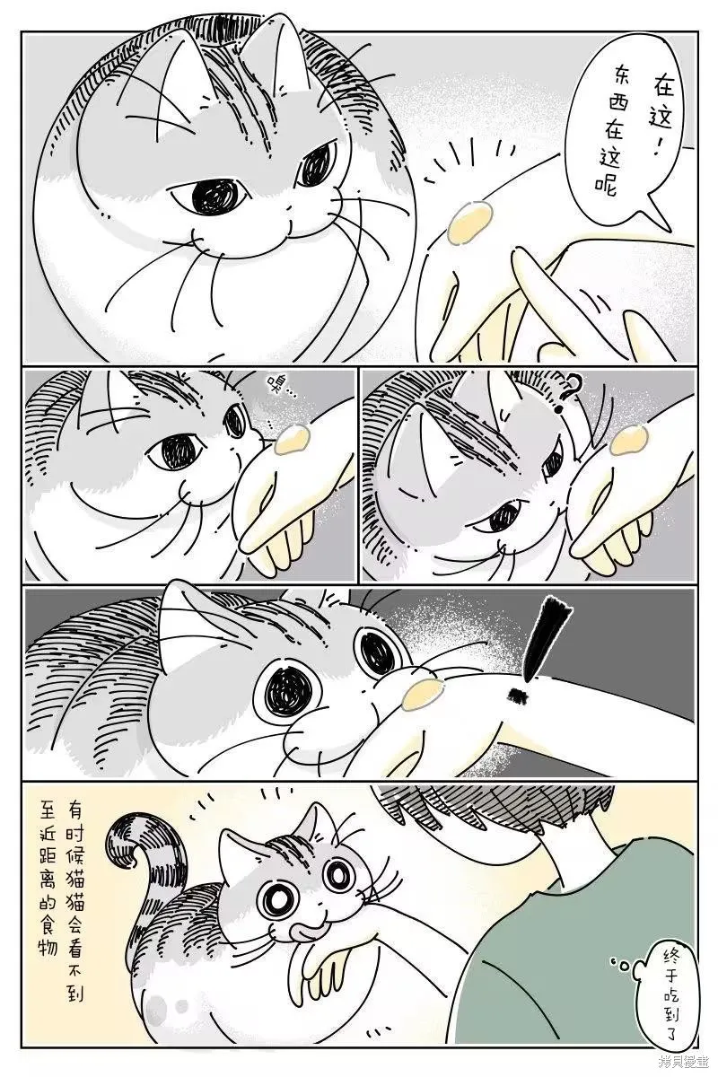 關於養貓我一直是新手,第271话,第3张