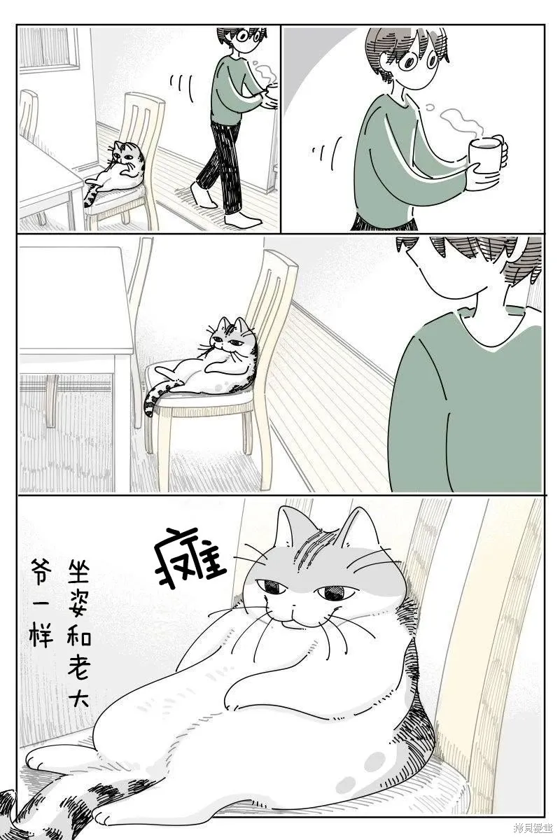 關於養貓我一直是新手,第243话,第1张