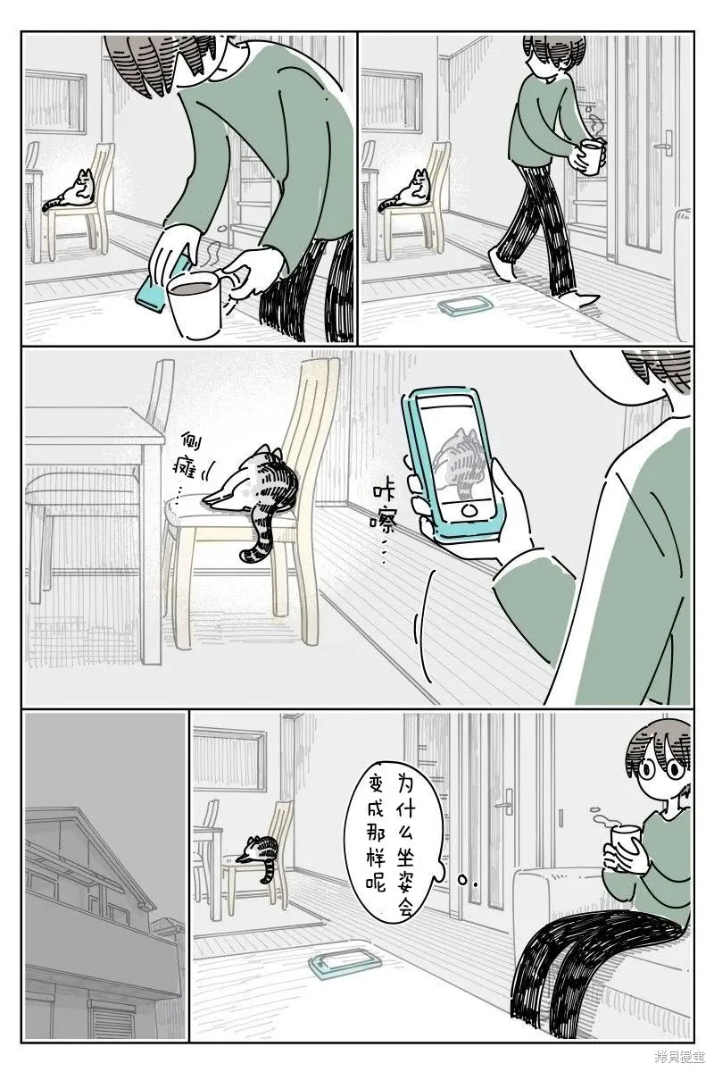 關於養貓我一直是新手,第243话,第2张